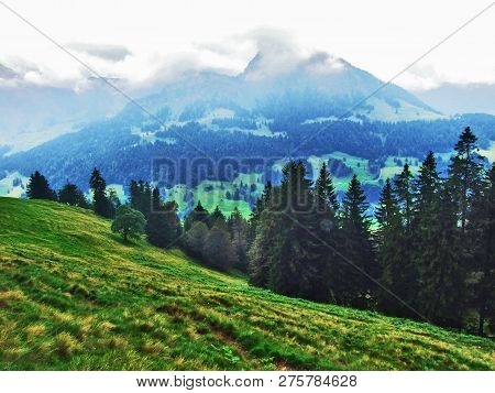 Subalpine Forests In The Ostschweiz Region - Canton Of Appenzell Ausserrhoden, Switzerland