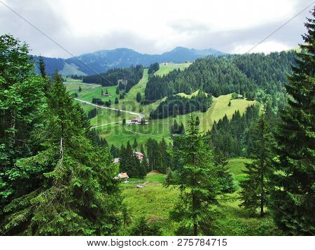 Subalpine Forests In The Ostschweiz Region - Canton Of Appenzell Ausserrhoden, Switzerland