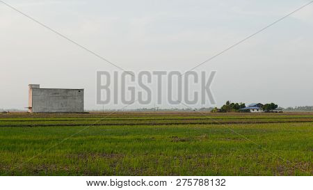 Building Of Edible Swiftlet Bird's Nests To Attract Birds To Come And Breed At The Middle Of Paddy F