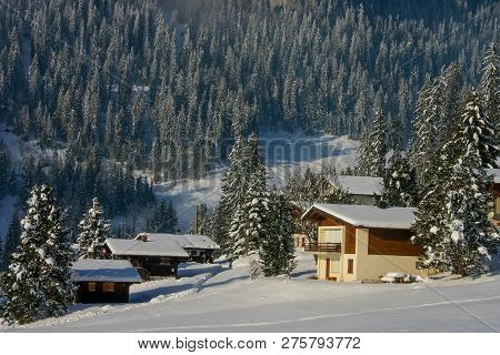 A Sunny Snow Covered Landscape Of Woods And Cottages In The Mountainside Village Of Beatenberg In Sw
