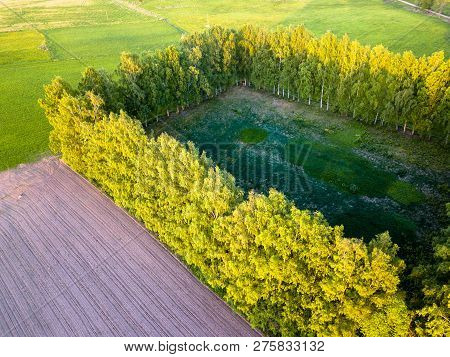 Drone Photo Of The Road Between Trees In Colorful Early Spring - Surrounded With Freshly Cultivated