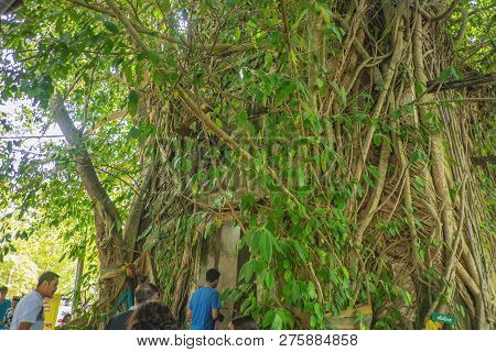 Samutsongkhram/thailand - 16 September 2107 : Unacquainted Thai People And Tourists Visit Wat Bang K