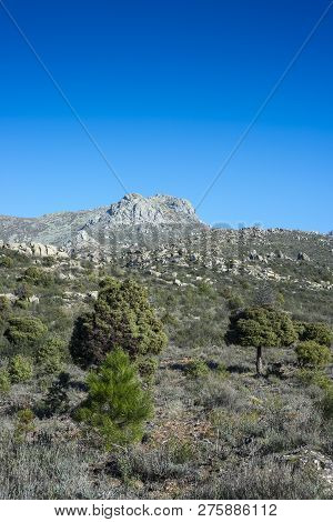 Views Of Guadarrama Mountains (madrid, Spain) With La Maliciosa Peak In The Background.