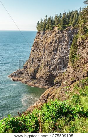 Oregon Coastal Cliffs At Cape Meares, Oregon Coast