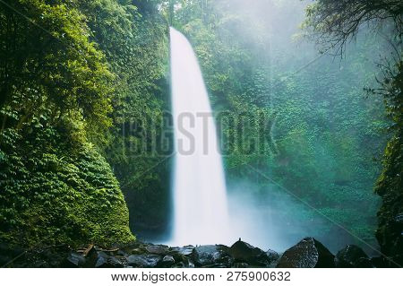Powerful Waterfall In Bali. Tropical Forest And Nung Nung Waterfall