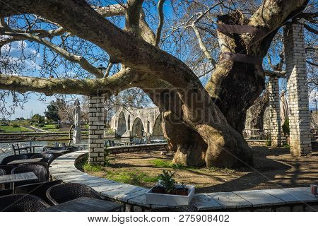 Landscape With Giant Tree Near Medieval Bridge Over River Arahthos In Arta, Greece