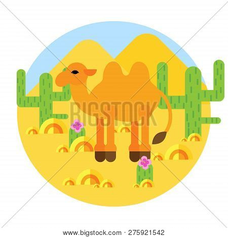 Camel In The Deser Icon On White Background Vector Illustration Flat Desing