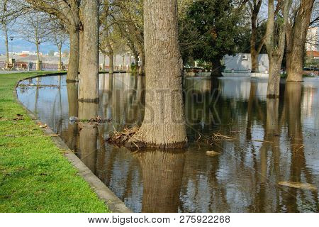 View Of The Trees In The Park Flooded By Intense Rains, Shkoder, Albania