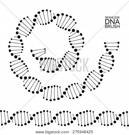 Human Dna Chain Or Genome Helix Molecule Seamless Lines