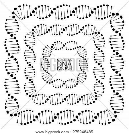 Human Dna Chain Or Genome Helix Molecule Seamless Lines