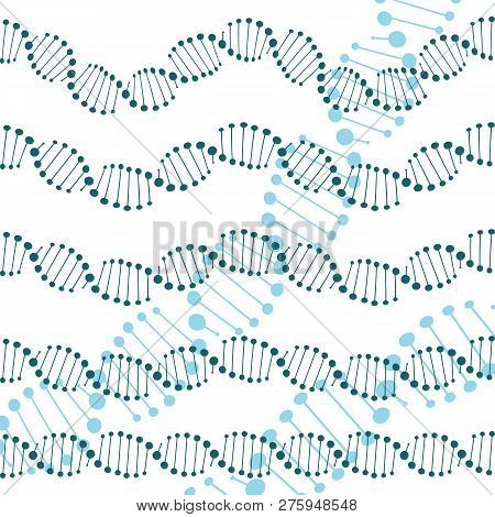 Human Dna Chain Or Genome Helix Molecule Seamless Lines