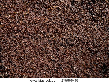 Substratum texture pattern background for garden agriculture coconut fiber