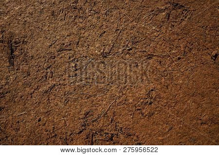 Substratum texture pattern background for garden agriculture coconut fiber