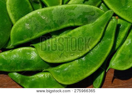 Garrofon mediterranean beans Phaseolus lunatus fresh on wood