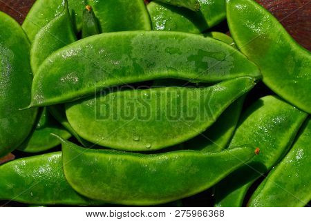 Garrofon mediterranean beans Phaseolus lunatus fresh on wood