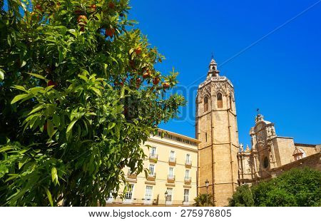 Valencia Plaza de la Reina square Miguelete also Micalet tower in Spain