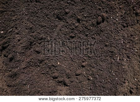Substratum texture pattern background for garden agriculture