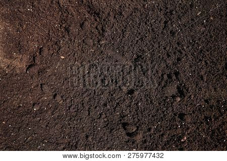 Substratum texture pattern background for garden agriculture