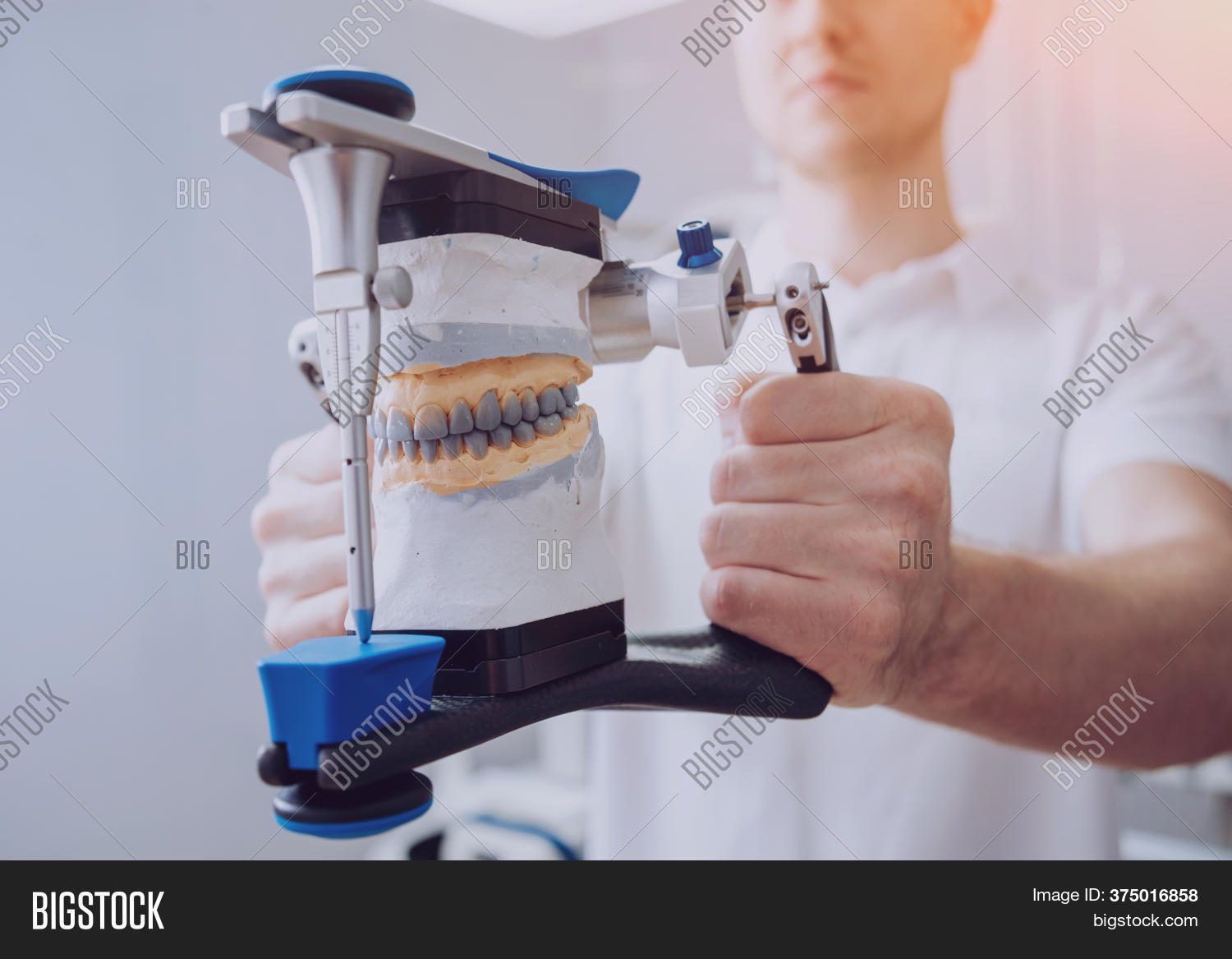 Dental Technician Image & Photo (Free Trial) Bigstock