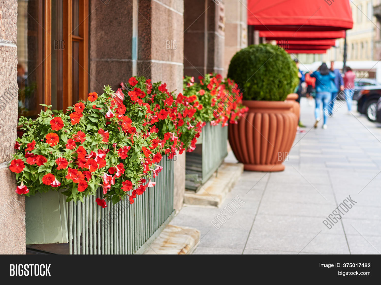 Blooming Flowers City Image & Photo (Free Trial) Bigstock
