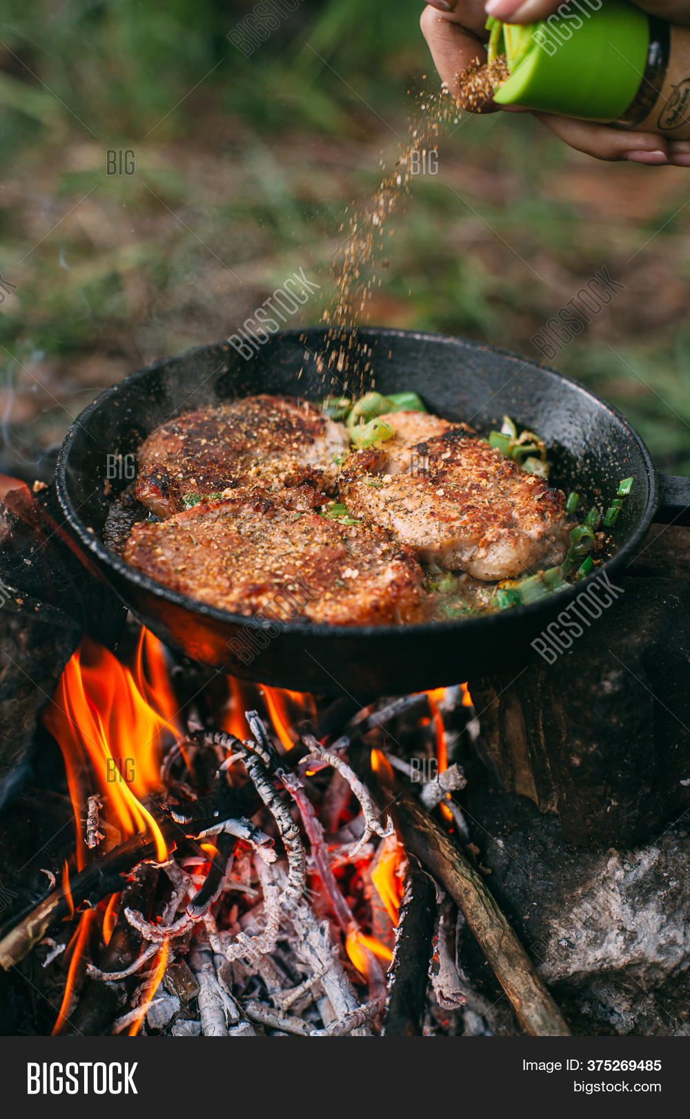Frying Meat Pan Over Image & Photo (Free Trial) Bigstock