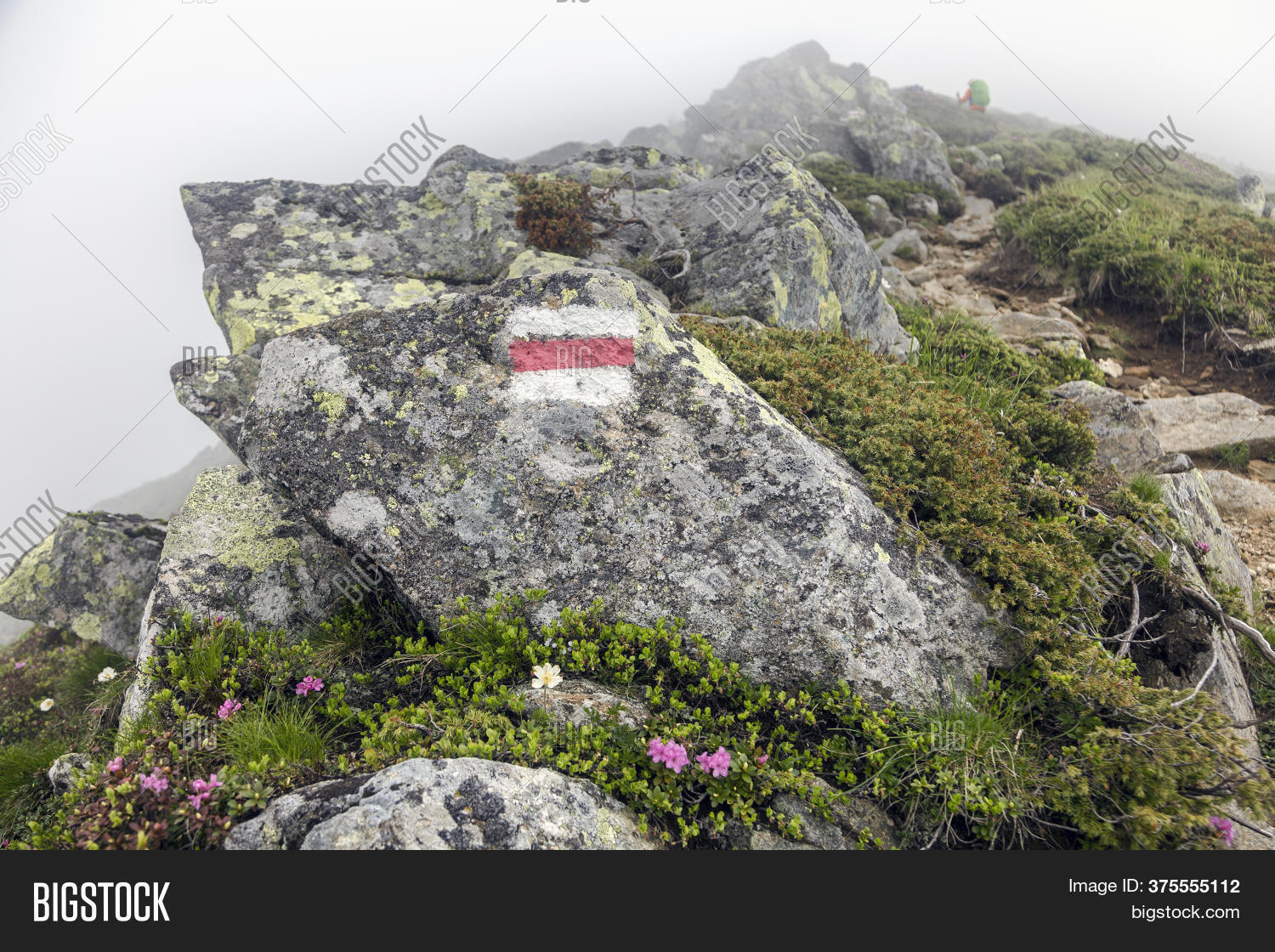 Trail Marking On Image & Photo (Free Trial) Bigstock