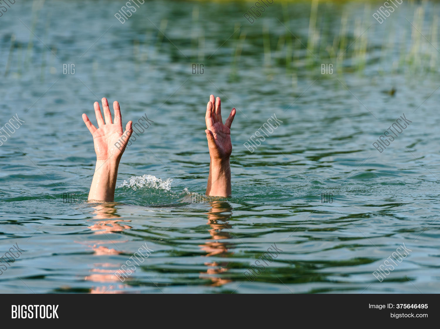 Hands Stick Out Water Image & Photo (Free Trial) | Bigstock