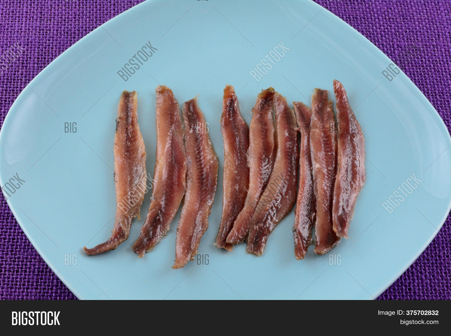 Canned Anchovy Fish Image & Photo (Free Trial) Bigstock