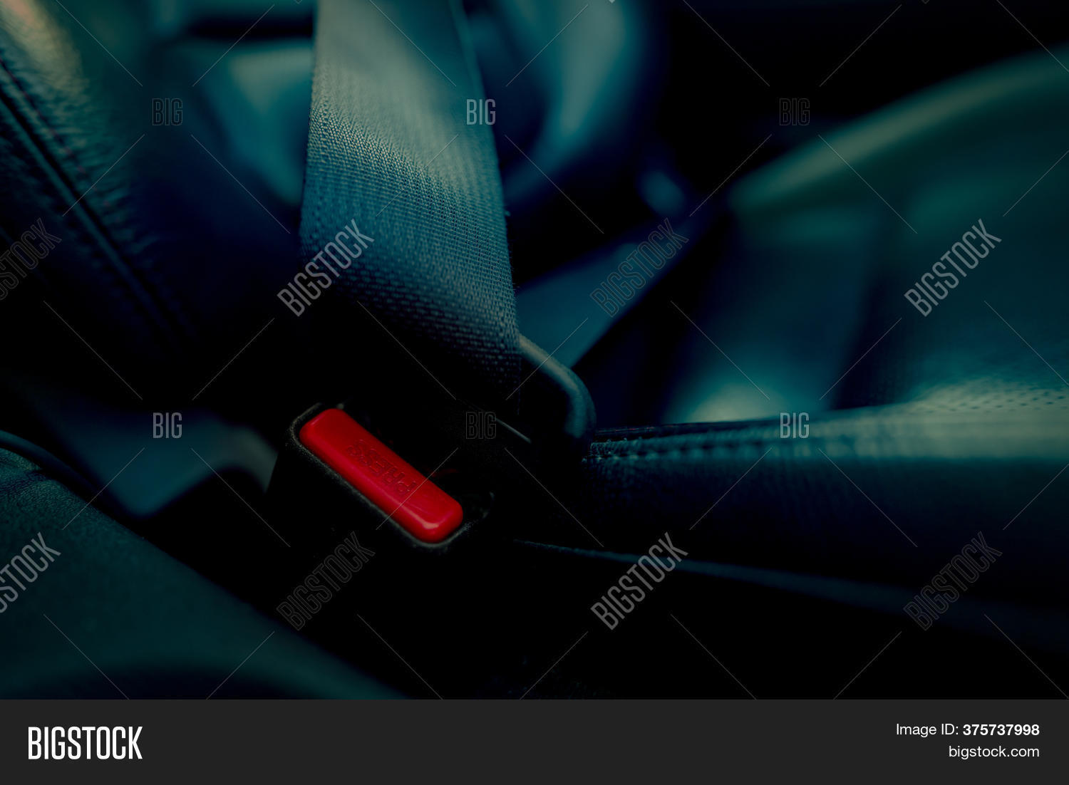 Car Seat Belt Red Image & Photo (Free Trial) Bigstock