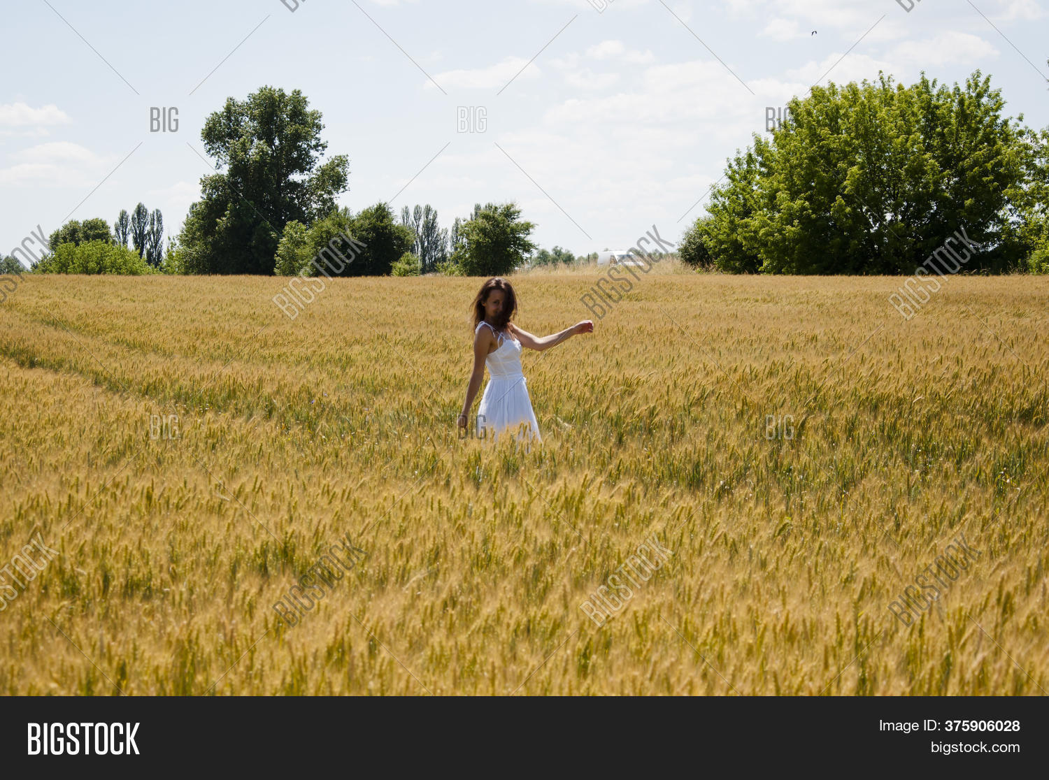 позы для фото стоя в полный рост в пшеничном поле. большая тропинка в пшеничном поле. голый бежит по полю пшеницы. свобода поле. свободное поле.