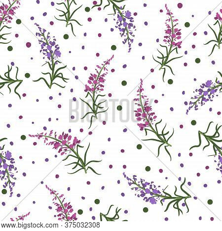 Seamless Floral Pattern With Branches Of Fireweed Flowers. Ivan Chai. Hand Drawn Botanical Illustrat