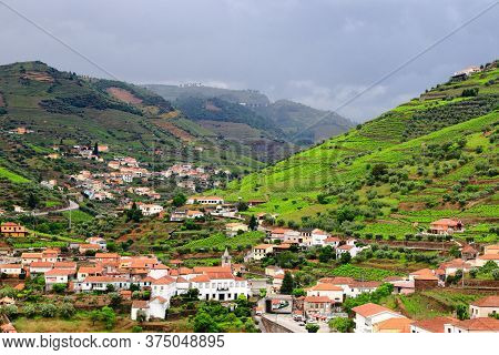 Peso Da Regua In Douro Valley. Portugal Vineyard Countryside Landscape. Alto Douro Doc Wine Making L
