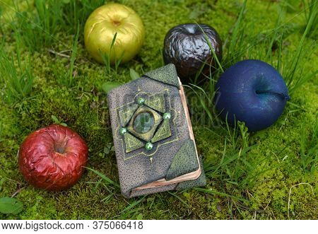 Magical Apples And Witch Book Of Spells On The Grass In The Garden. Esoteric, Gothic And Occult Back