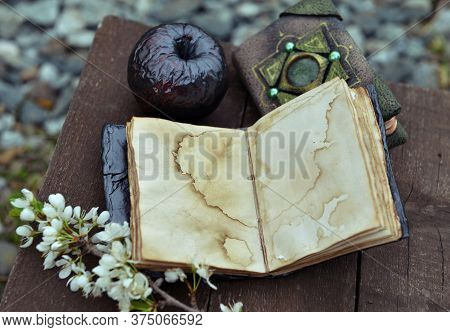 Open Diary With Empty Pages, Black Apple And Blooming Branch On Planks. Esoteric, Gothic And Occult 