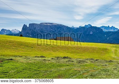 Beautiful Landscape View Of The Mountains In South Tyrol With Mixed Pine And Deciduous Forest, Renon