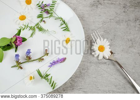Flowers And Green Plant In A White Plate With Fork On Grey Textured Background, Vegetarian Food Conc