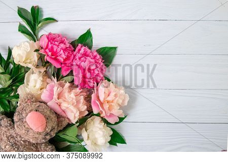 Pink Beautiful Flowers On White Wooden Background. Bouquet Pions With Plush Toy Cat. Universal Greet