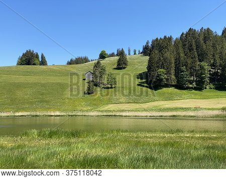 The Smaller Lake Schwendisee (hinter Schwendisee) In The Obertoggenburg Region, Wildhaus - Canton Of