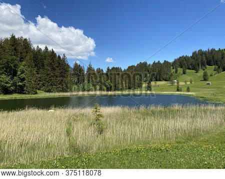 The Smaller Lake Schwendisee (hinter Schwendisee) In The Obertoggenburg Region, Wildhaus - Canton Of
