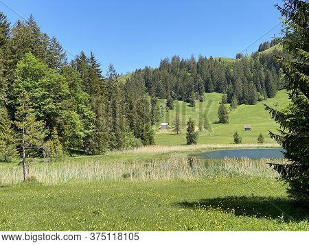 The Smaller Lake Schwendisee (hinter Schwendisee) In The Obertoggenburg Region, Wildhaus - Canton Of