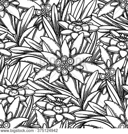 Seamless Pattern Of Graphic Edelweiss Flowers And Leaves.