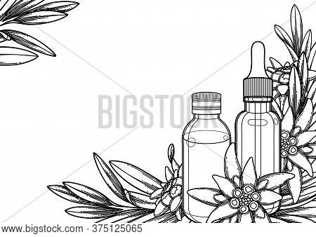 Graphic Essential Oil Bottles Decorated With Edelweiss Leaves And Flowers