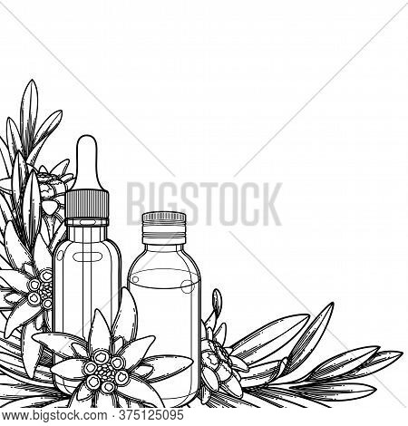 Graphic Essential Oil Bottles Decorated With Edelweiss Leaves And Flowers