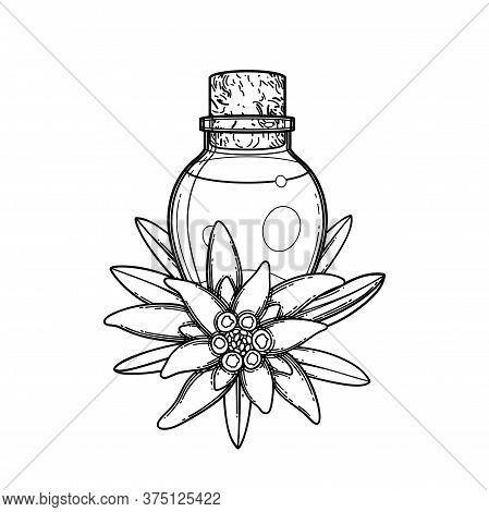 Graphic Essential Oil Bottle Decorated With Edelweiss Leaves And Flowers