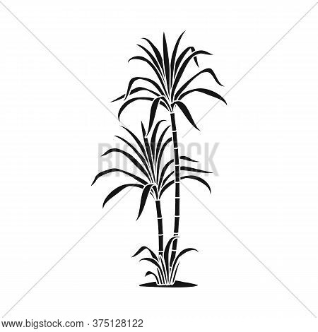 Vector Design Of Palm And Cane Sign. Web Element Of Palm And Field Vector Icon For Stock.