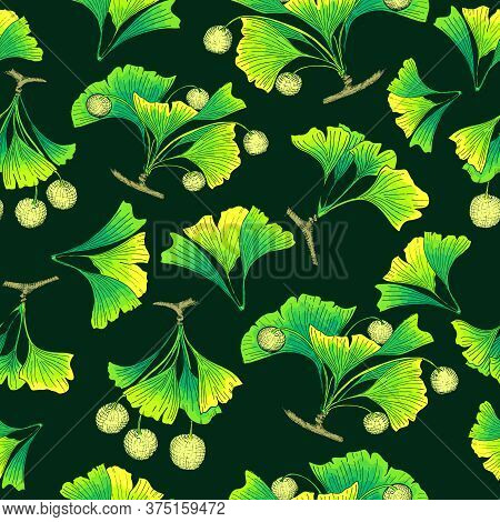 Seamless Pattern With Colored Parts Of Ginkgo