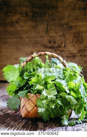 Fresh Cilantro In A Wicker Basket, Vintage Wooden Background, Selective Focus