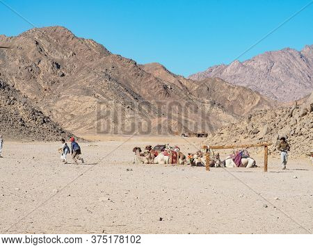 Bedouin Village In Desert, Egypt - February 2020: Landscape Of Brown Mountain, Long View. Bedouins K