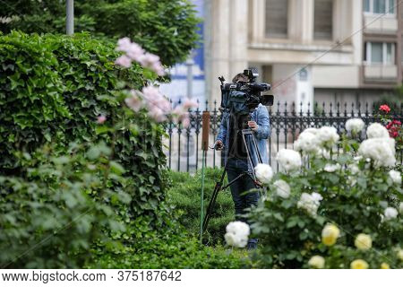 Tv Camera Operator Films In A Garden Filled With Flowers.