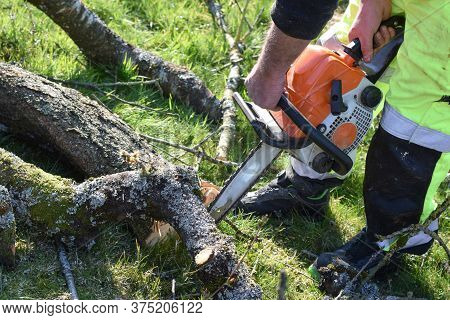 Worker In The Garden With A Chainsaw. Concept: Spring Garden Work.